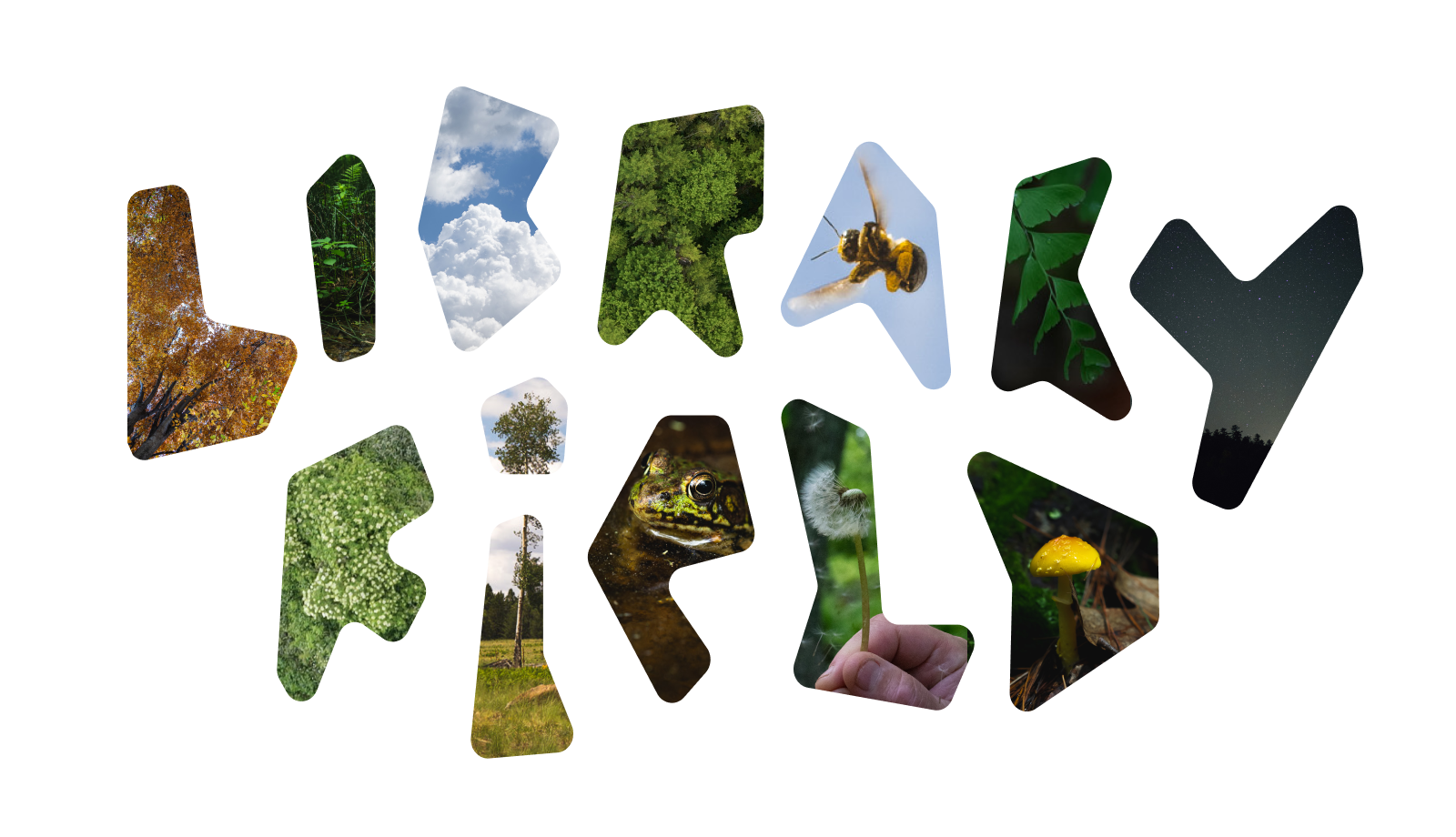 photos of various natural elements collaged into the letters of Library Field