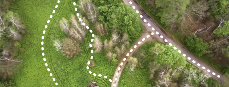 birds eye view showing roads, game paths, and trails