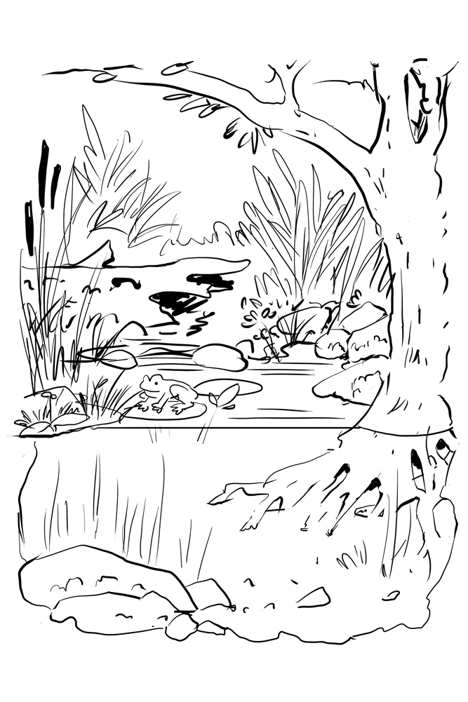 Animated gif showing the iterative process of designing the pond poster.