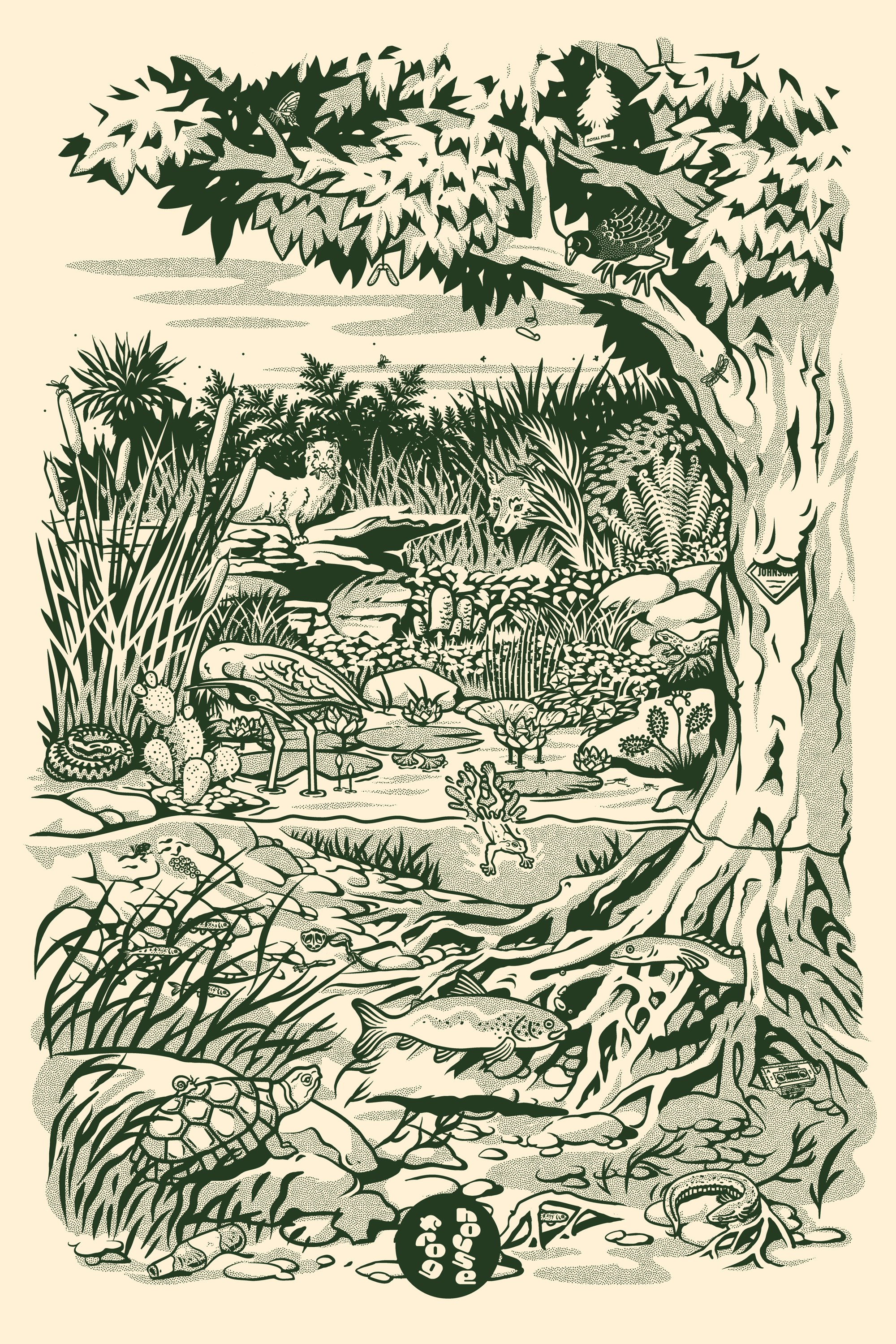 Illustrated pond ecosystem poster with flora and fauna.