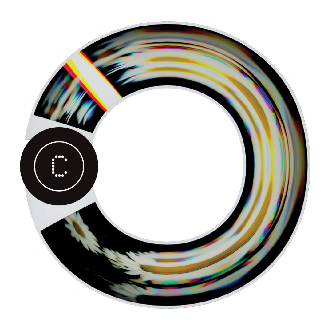 a rotating animation of the center label on the vinyl; each side has a polaroid image wrapped around the center