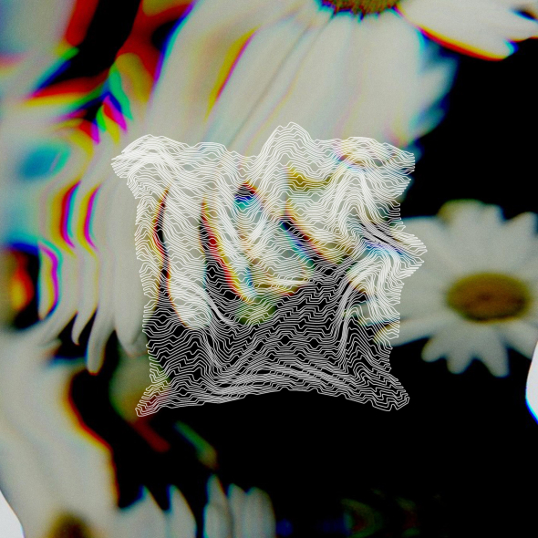 warped image of daisies overlayed with a distored textile pattern