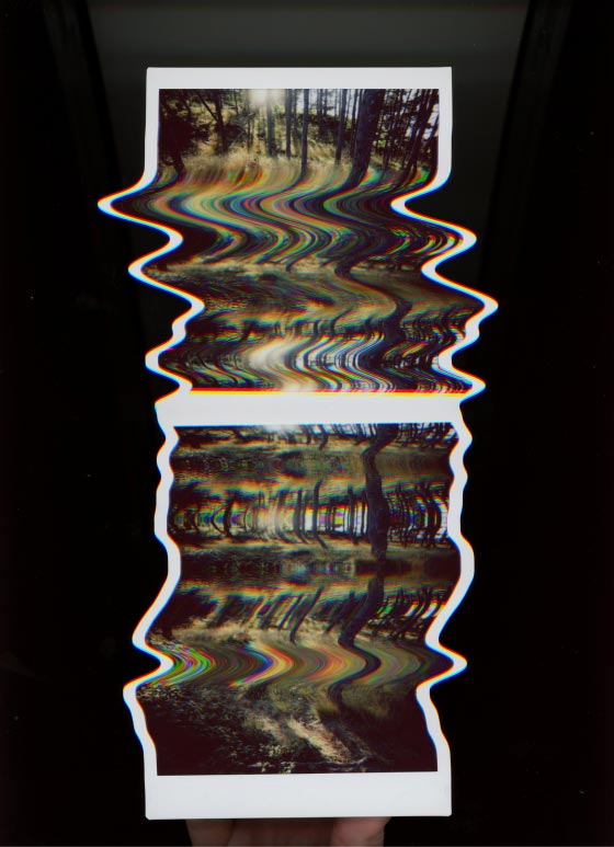 distored scan of a polaroid depicting the woods